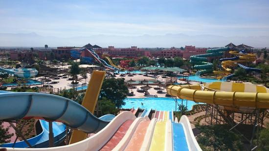 Aqua Fun Club